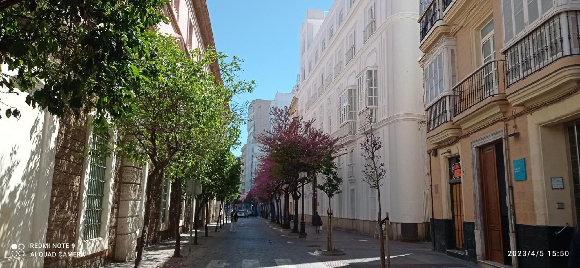 Top Estudio Rosario Cadiz Playa Zewnętrze zdjęcie